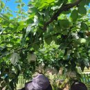 덕화식당 이미지