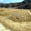 동호리농장 이미지