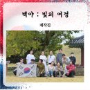 백야조명