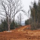 추월산이보이는집 이미지