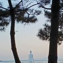 파라오 - 광산구 첨단중앙로152번길 6-33 | 파라오