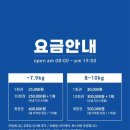 광주 애견유치원 애견호텔 플레이멍 이미지