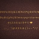 디자인 라움