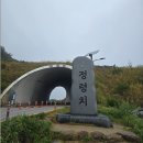 지리산 하늘아래 | 지리산의 숨겨진 보석, 1,172m 정령치에서 만난 몽환적인 풍경