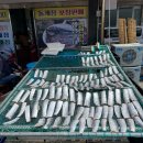 경운장어구이탕집 | 녹동항 장어 맛집 아리랑산장어구이탕 녹동본점 양념장어구이, 장어탕 후기