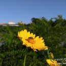 충청풋살공원 이미지