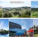 여주-0637 네이버블로그