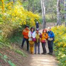 장자산체육공원 이미지