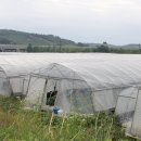 김순영 농장 이미지
