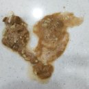 초콜릿종합동물병원 이미지