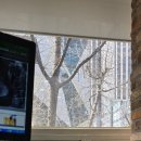 행복한예인치과의원 이미지