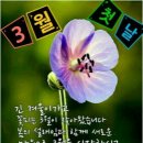 드보라화원 이미지