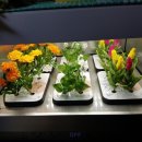 최지원 농장 이미지