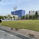춘리마라탕 부산대정문점 네이버블로그