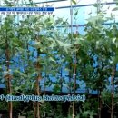 명신농장 이미지