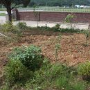 열무농장 이미지