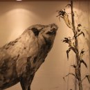 홍도축산 이미지