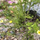 김종운농장 이미지