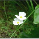 애인당구장 이미지