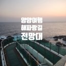 고래별팬션 | 양양 가볼만한곳 남애항 전망대 해파랑길