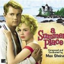 피서지에서 생긴일(OST, A Summer Place) - Percy Faith, Andy Willia 이미지