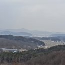 미륵산농장 Daum카페