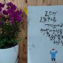 불로초등학교 이미지