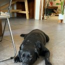 경기도 수원시 권선구 권선로 564 (세류동) 이미지