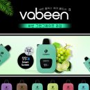 투바빈 | 편의점 전자담배 보다 좋은 바빈 일회용전자담배 리뷰