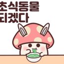 하루반찬 이미지