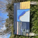 Sanctuary | 블랙록 리케츠 포인트 마린 생추어리 후기 Ricketts Point Marine Sanctuary 산책·스노클링 명소 추천