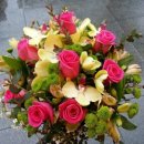 부평우일 이미지