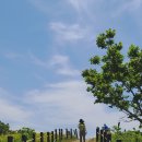 곰배령화원 이미지