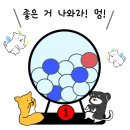 댕댕다방 이미지