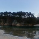 주천대 Daum카페