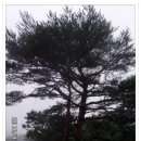 어성전