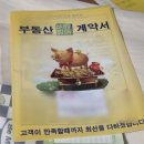한도빌 | 전세구하기 3) 다가구 전세계약 후기 (주의사항, 특약, 이체오류, 계약후 할일)
