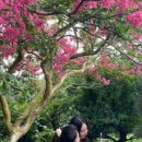 부영농장3 이미지