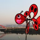 더브리즈 이미지