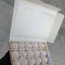 복호두대구