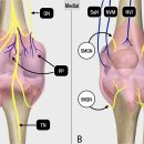동빈한의원 이미지