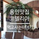 코델리아토탈뷰티샵 이미지