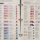 선헤어크리닉 이미지