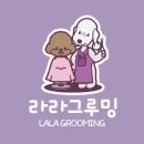 라라그루밍 이미지