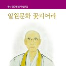 꽃피어라 이미지