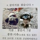 구포2동-7 이미지