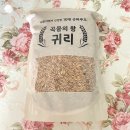 민이농장 이미지