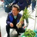좌판 Daum카페