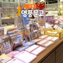 영풍전자 | 수원 스타필드 놀거리 영풍문고 방문기