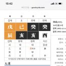 심리 명리학 이미지